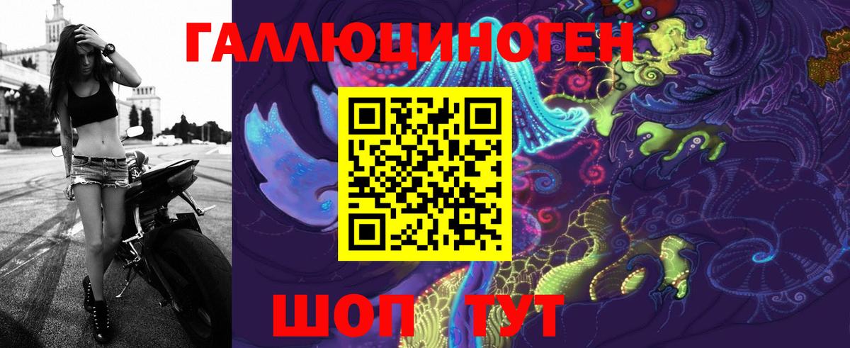 Волоколамск  Псилоцибиновые грибы Psilocybe  Вход с VPN  Псилоцибиновые грибы мухоморы 
