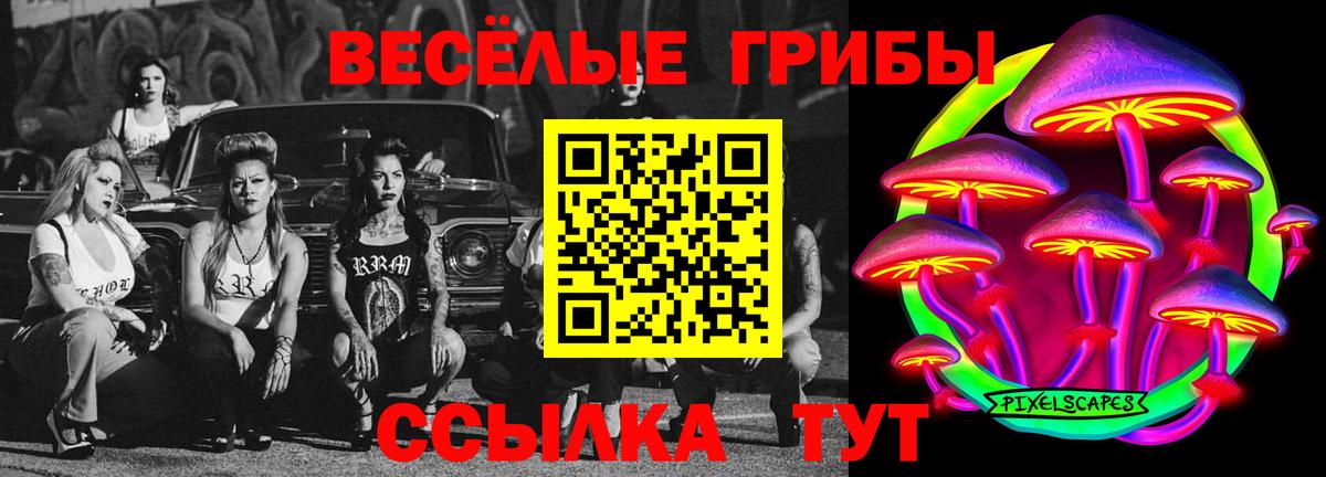 Галлюциногенные грибы Psilocybe Волоколамск